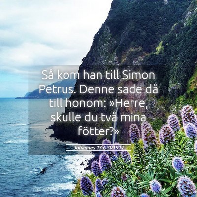 Picture 05 - Johannes 13:6 SV1917 - Så kom han till Simon Petrus. Denne sade då - Bible Verse Picture
