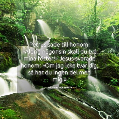 Picture 05 - Johannes 13:8 SV1917 - Petrus sade till honom: »Aldrig någonsin skall - Bible Verse Picture