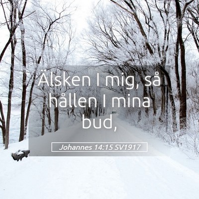 Picture 05 - Johannes 14:15 SV1917 - Älsken I mig, så hållen I mina - Bible Verse Picture