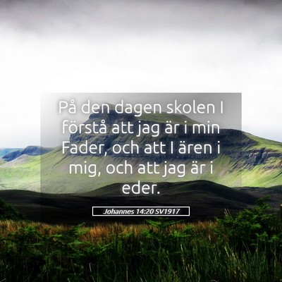 Picture 05 - Johannes 14:20 SV1917 - På den dagen skolen I förstå att jag är i min - Bible Verse Picture