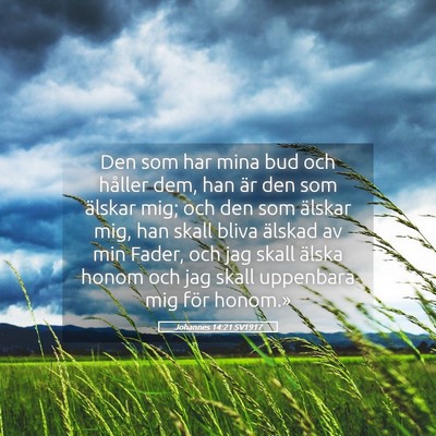 Picture 05 - Johannes 14:21 SV1917 - Den som har mina bud och håller dem, han är den - Bible Verse Picture