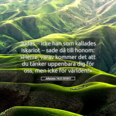 Picture 05 - Johannes 14:22 SV1917 - Judas -- icke han som kallades Iskariot -- sade - Bible Verse Picture