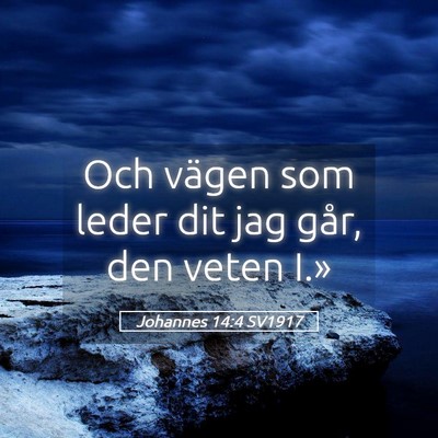 Picture 05 - Johannes 14:4 SV1917 - Och vägen som leder dit jag går, den veten - Bible Verse Picture