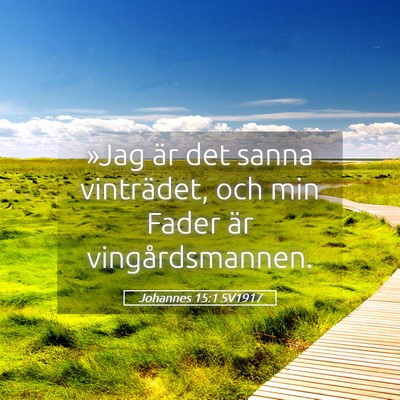 Picture 05 - Johannes 15:1 SV1917 - »Jag är det sanna vinträdet, och min Fader är - Bible Verse Picture