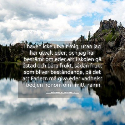 Picture 05 - Johannes 15:16 SV1917 - I haven icke utvalt mig, utan jag har utvalt - Bible Verse Picture