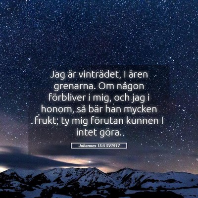 Picture 05 - Johannes 15:5 SV1917 - Jag är vinträdet, I ären grenarna. Om någon - Bible Verse Picture