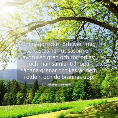 Picture 05 - Johannes 15:6 SV1917 - Om någon icke förbliver i mig, så kastas han - Bible Verse Picture