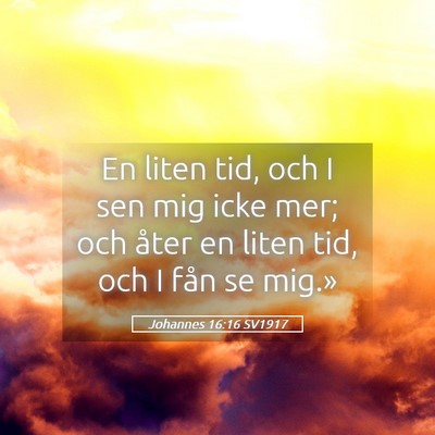 Picture 05 - Johannes 16:16 SV1917 - En liten tid, och I sen mig icke mer; och åter - Bible Verse Picture