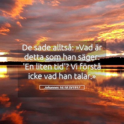 Picture 05 - Johannes 16:18 SV1917 - De sade alltså: »Vad är detta som han säger: - Bible Verse Picture