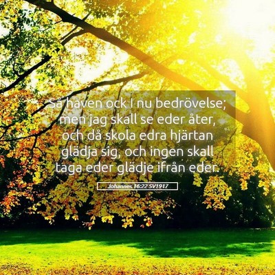 Picture 05 - Johannes 16:22 SV1917 - Så haven ock I nu bedrövelse; men jag skall se - Bible Verse Picture