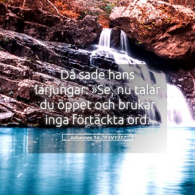 Picture 05 - Johannes 16:29 SV1917 - Då sade hans lärjungar: »Se, nu talar du - Bible Verse Picture