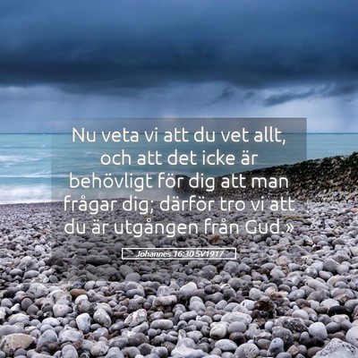 Picture 05 - Johannes 16:30 SV1917 - Nu veta vi att du vet allt, och att det icke är - Bible Verse Picture