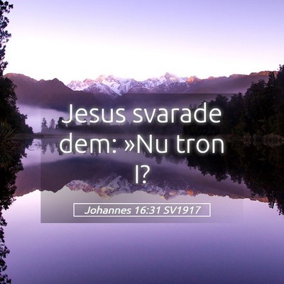 Picture 05 - Johannes 16:31 SV1917 - Jesus svarade dem: »Nu tron - Bible Verse Picture