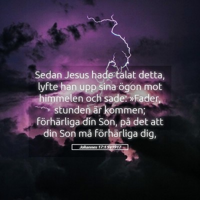 Picture 05 - Johannes 17:1 SV1917 - Sedan Jesus hade talat detta, lyfte han upp sina - Bible Verse Picture