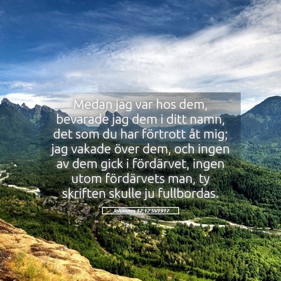 Picture 05 - Johannes 17:12 SV1917 - Medan jag var hos dem, bevarade jag dem i ditt - Bible Verse Picture