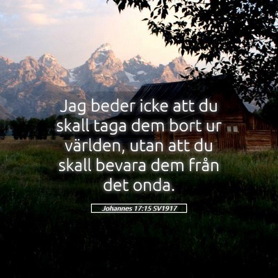Picture 05 - Johannes 17:15 SV1917 - Jag beder icke att du skall taga dem bort ur - Bible Verse Picture