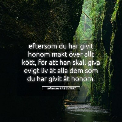 Picture 05 - Johannes 17:2 SV1917 - eftersom du har givit honom makt över allt - Bible Verse Picture