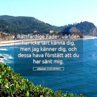 Picture 05 - Johannes 17:25 SV1917 - Rättfärdige Fader, världen har icke lärt - Bible Verse Picture