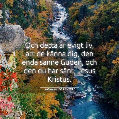Picture 05 - Johannes 17:3 SV1917 - Och detta är evigt liv, att de känna dig, den - Bible Verse Picture