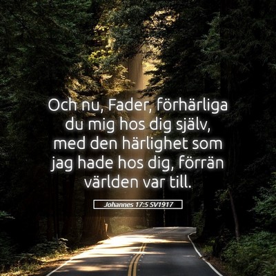 Picture 05 - Johannes 17:5 SV1917 - Och nu, Fader, förhärliga du mig hos dig - Bible Verse Picture