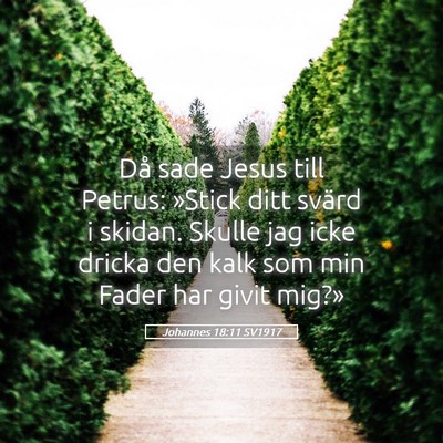 Picture 05 - Johannes 18:11 SV1917 - Då sade Jesus till Petrus: »Stick ditt svärd i - Bible Verse Picture