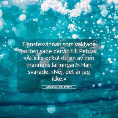 Picture 05 - Johannes 18:17 SV1917 - Tjänstekvinnan som vaktade porten sade därvid - Bible Verse Picture