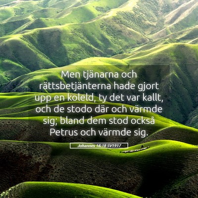 Picture 05 - Johannes 18:18 SV1917 - Men tjänarna och rättsbetjänterna hade gjort - Bible Verse Picture