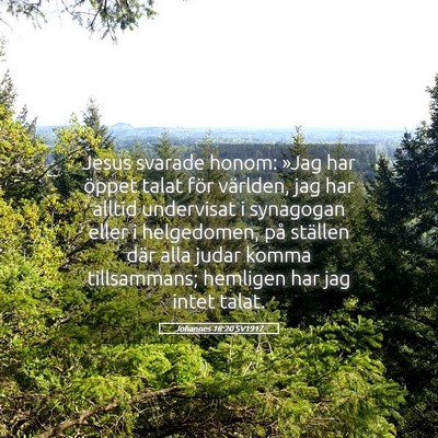 Picture 05 - Johannes 18:20 SV1917 - Jesus svarade honom: »Jag har öppet talat för - Bible Verse Picture