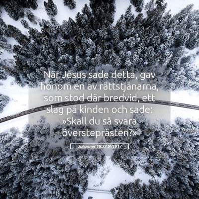 Picture 05 - Johannes 18:22 SV1917 - När Jesus sade detta, gav honom en av - Bible Verse Picture