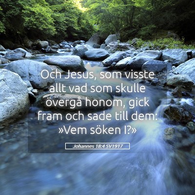 Picture 05 - Johannes 18:4 SV1917 - Och Jesus, som visste allt vad som skulle - Bible Verse Picture