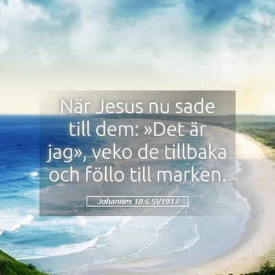 Picture 05 - Johannes 18:6 SV1917 - När Jesus nu sade till dem: »Det är jag», - Bible Verse Picture