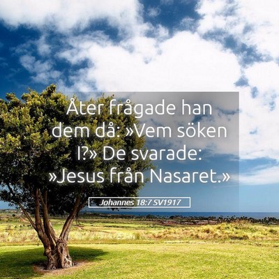 Picture 05 - Johannes 18:7 SV1917 - Åter frågade han dem då: »Vem söken I?» De - Bible Verse Picture