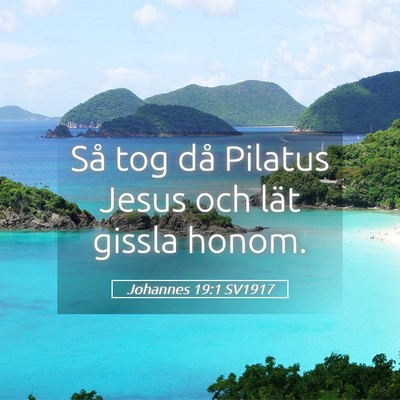 Picture 05 - Johannes 19:1 SV1917 - Så tog då Pilatus Jesus och lät gissla - Bible Verse Picture