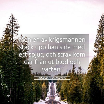 Picture 05 - Johannes 19:34 SV1917 - men en av krigsmännen stack upp han sida med ett - Bible Verse Picture