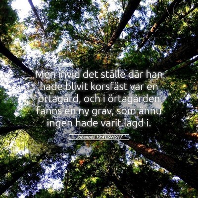 Picture 05 - Johannes 19:41 SV1917 - Men invid det ställe där han hade blivit - Bible Verse Picture