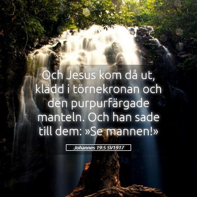 Picture 05 - Johannes 19:5 SV1917 - Och Jesus kom då ut, klädd i törnekronan och - Bible Verse Picture