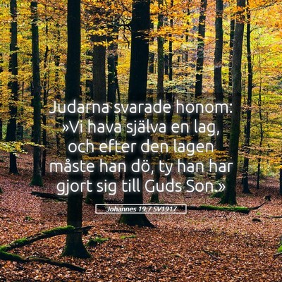 Picture 05 - Johannes 19:7 SV1917 - Judarna svarade honom: »Vi hava själva en lag, - Bible Verse Picture