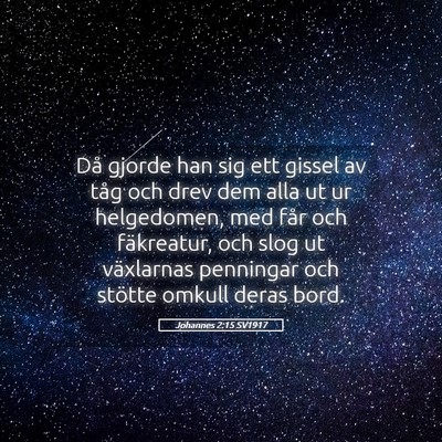 Picture 05 - Johannes 2:15 SV1917 - Då gjorde han sig ett gissel av tåg och drev - Bible Verse Picture