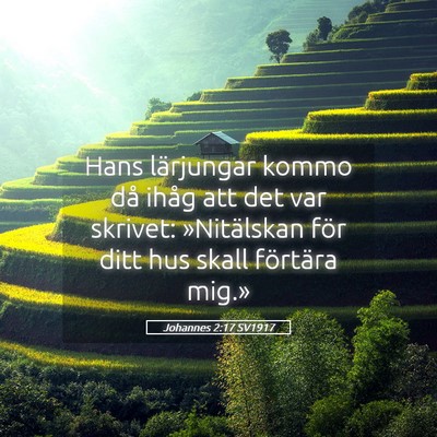 Picture 05 - Johannes 2:17 SV1917 - Hans lärjungar kommo då ihåg att det var - Bible Verse Picture