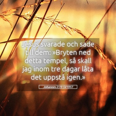 Picture 05 - Johannes 2:19 SV1917 - Jesus svarade och sade till dem: »Bryten ned - Bible Verse Picture