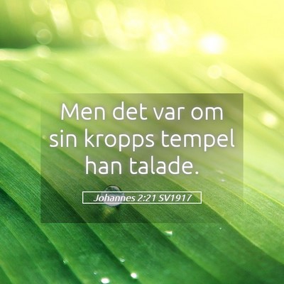 Picture 05 - Johannes 2:21 SV1917 - Men det var om sin kropps tempel han - Bible Verse Picture