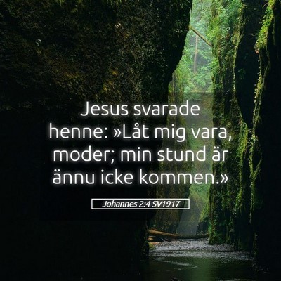 Picture 05 - Johannes 2:4 SV1917 - Jesus svarade henne: »Låt mig vara, moder; min - Bible Verse Picture