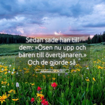 Picture 05 - Johannes 2:8 SV1917 - Sedan sade han till dem: »Ösen nu upp och - Bible Verse Picture