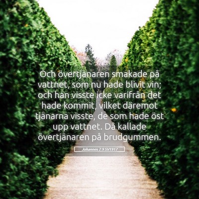 Picture 05 - Johannes 2:9 SV1917 - Och övertjänaren smakade på vattnet, som nu - Bible Verse Picture