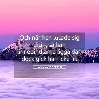 Picture 05 - Johannes 20:5 SV1917 - Och när han lutade sig ditin, så han - Bible Verse Picture