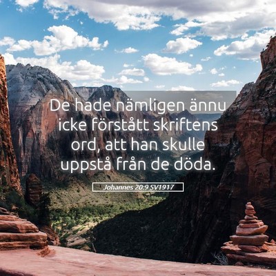 Picture 05 - Johannes 20:9 SV1917 - De hade nämligen ännu icke förstått skriftens - Bible Verse Picture
