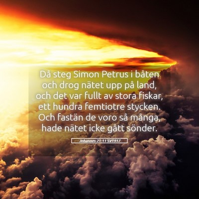 Picture 05 - Johannes 21:11 SV1917 - Då steg Simon Petrus i båten och drog nätet - Bible Verse Picture