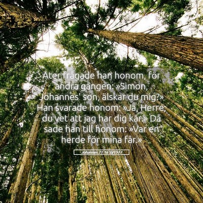 Picture 05 - Johannes 21:16 SV1917 - Åter frågade han honom, för andra gången: - Bible Verse Picture