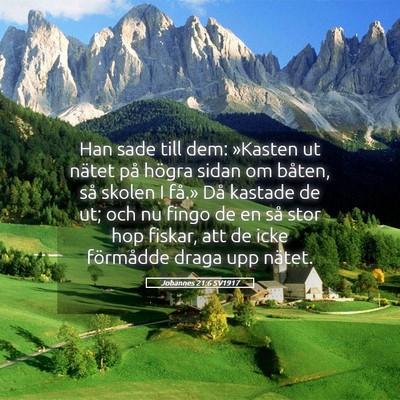 Picture 05 - Johannes 21:6 SV1917 - Han sade till dem: »Kasten ut nätet på högra - Bible Verse Picture