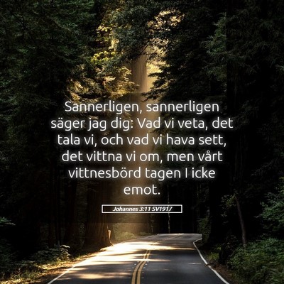 Picture 05 - Johannes 3:11 SV1917 - Sannerligen, sannerligen säger jag dig: Vad vi - Bible Verse Picture